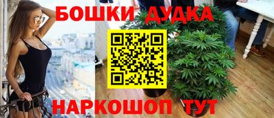a pvp Аргун