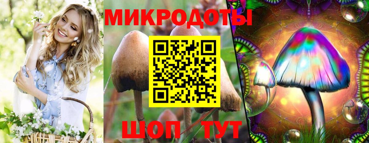 Волгоград  Псилоцибиновые грибы MAGIC MUSHROOMS  Вход с VPN 