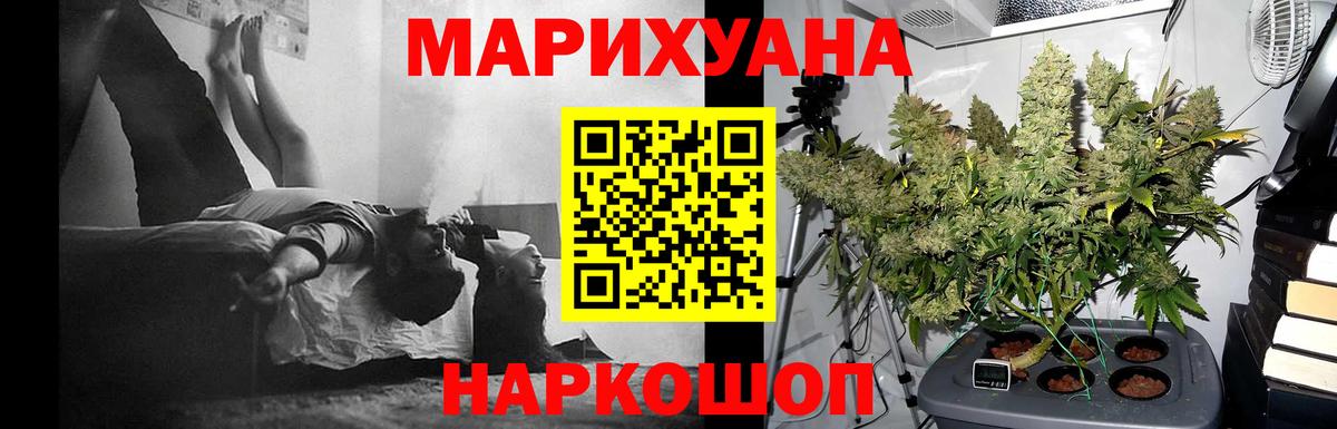 Бошки марихуана OG Kush Волгоград